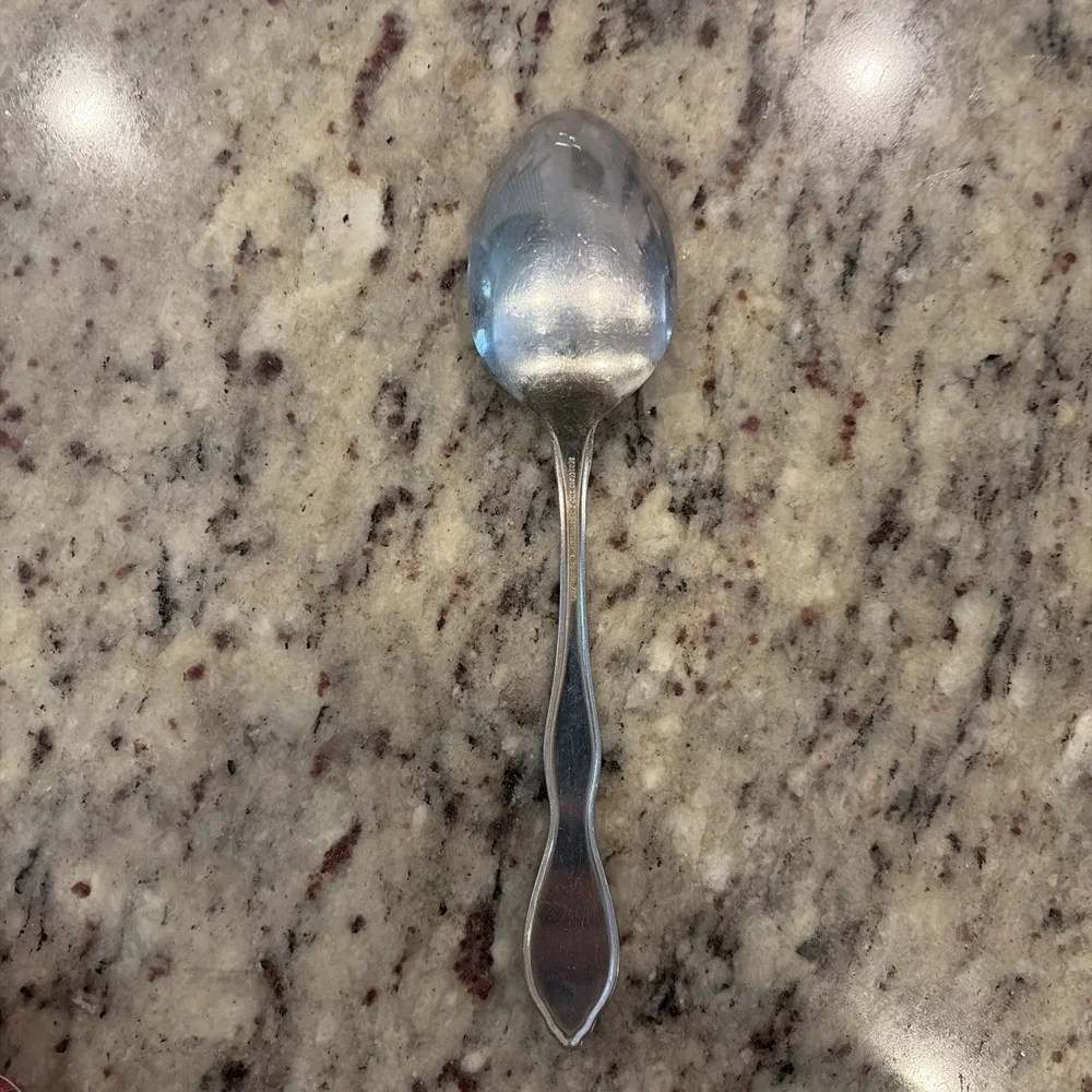Set of 2 Oneida 1881 Rogers Twilight Burnished Stainless Serving Spoons 8.25